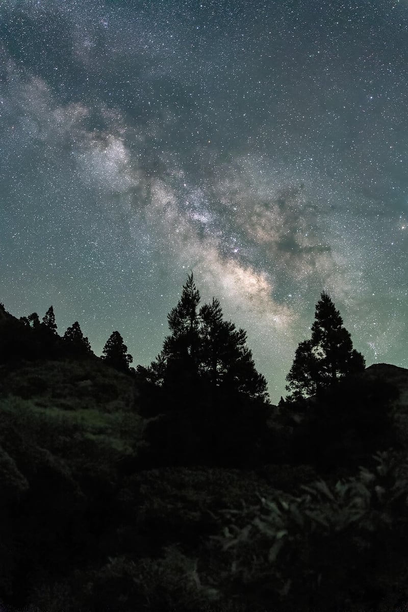 Time Travel and Historical Fiction Image